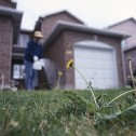 Lawn, Landscaping Company in Chagrin Falls, OH
