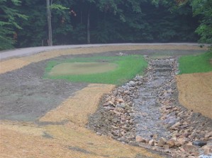 Streambank and Wetland Restoration