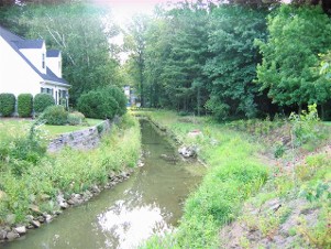 Streambank and Wetland Restoration