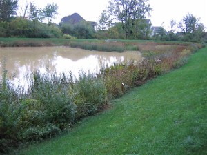 Streambank and Wetland Restoration