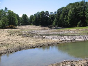 Streambank and Wetland Restoration